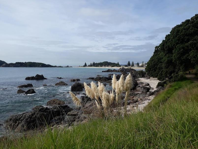 Downtown Mount B And B Mount Maunganui Extérieur photo
