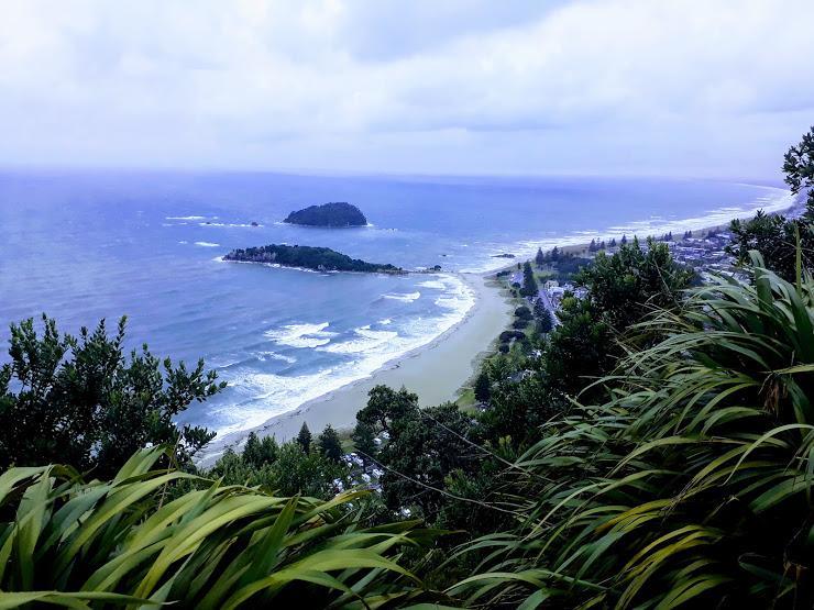 Downtown Mount B And B Mount Maunganui Extérieur photo